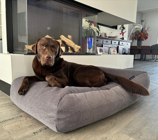 Medium Outlet Lit pour Chiens