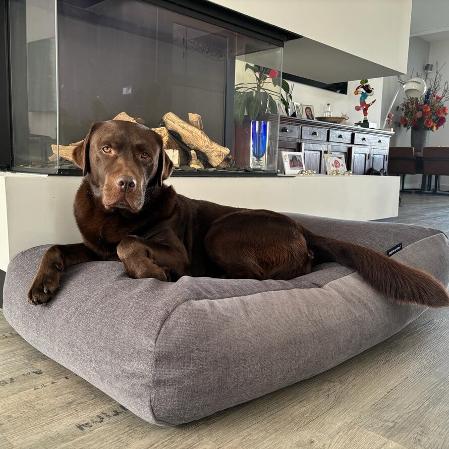 Medium Lit pour Chiens