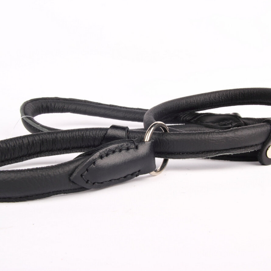 Leather Dog Leashes