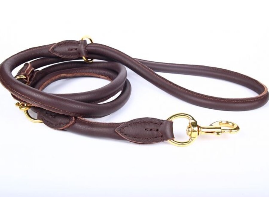 Adjustable leather dog leash (around 220 cm)