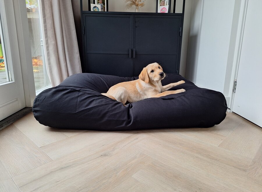 Dog bed black
