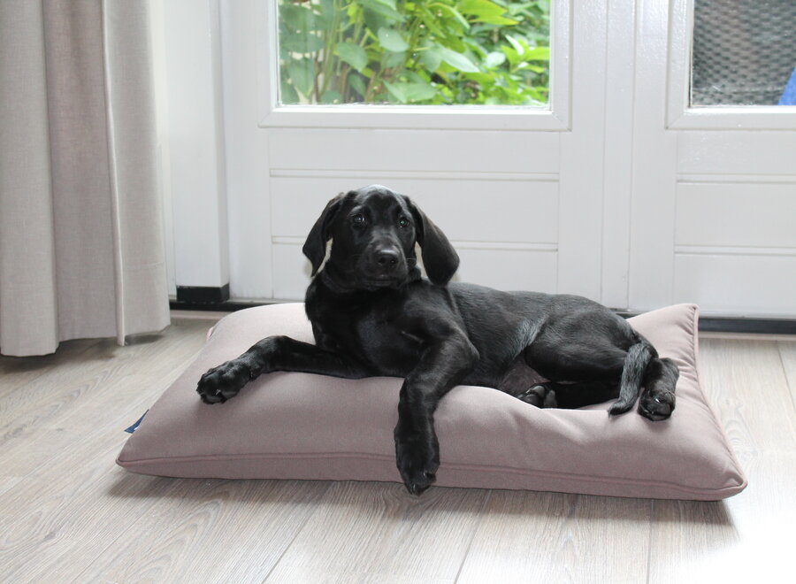 Banc coussin taupe 77 x 51 cm