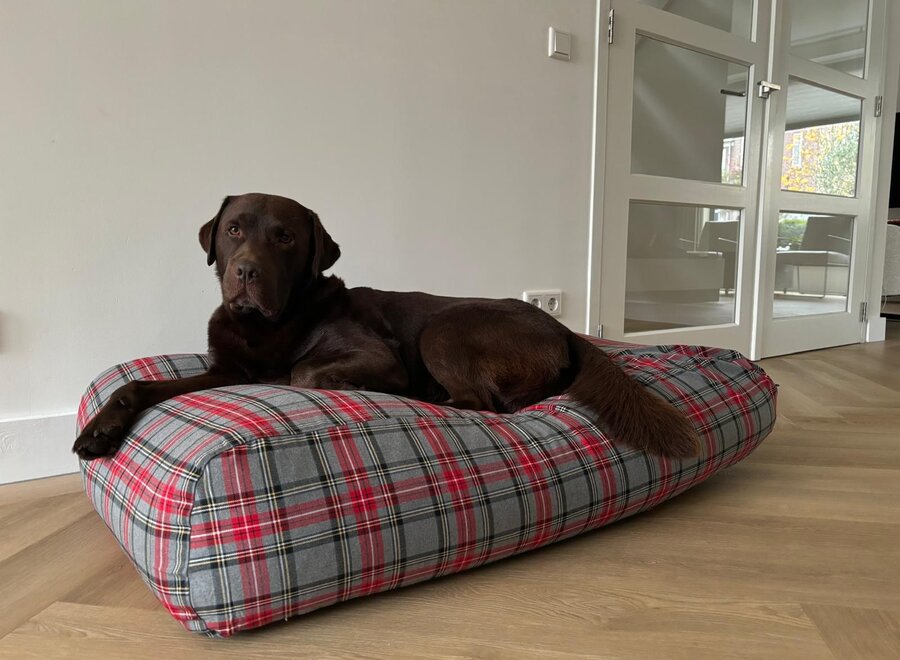 Lit pour chien Scottish grey