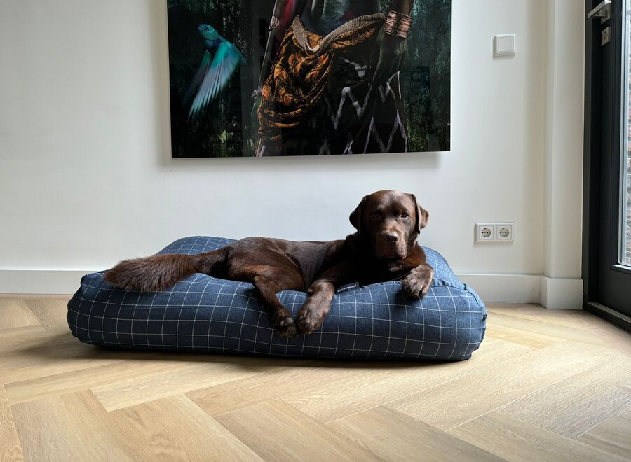 Dog bed Manhattan mid blue large