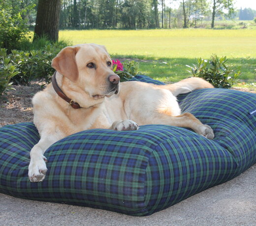 Coussins pour chiens textile tissé (carreaux / rayé)