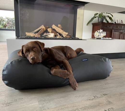 Dog beds leatherlook