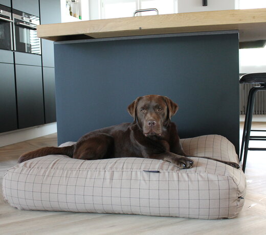 Coussins pour chiens polyester/ coton