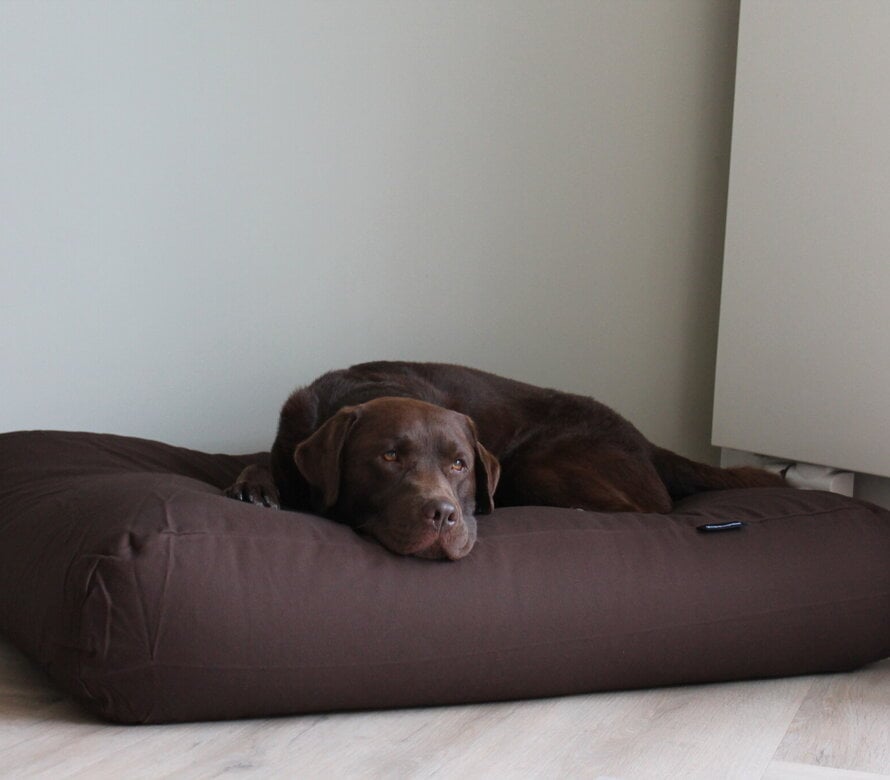 Dog bed medium
