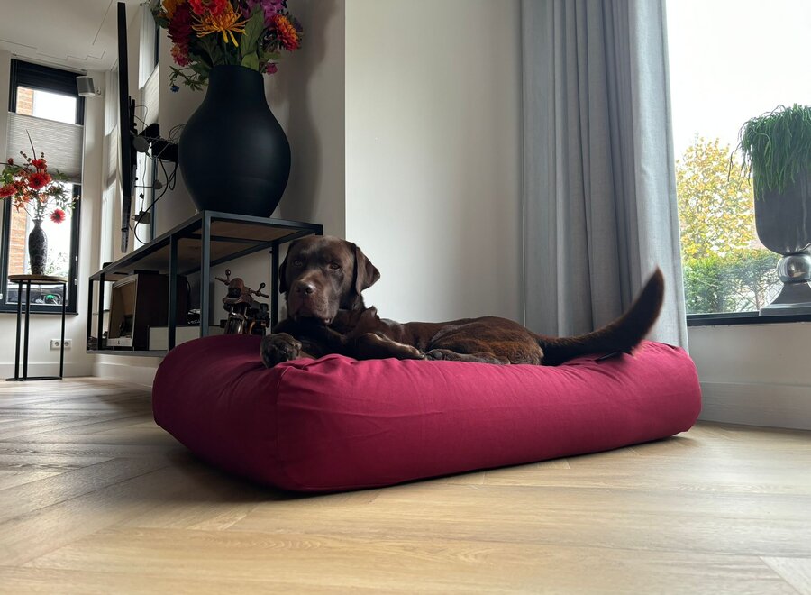 Hondenbed wijnrood extra small