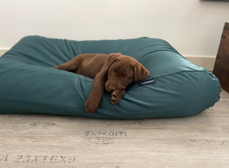 Dog bed green coating large