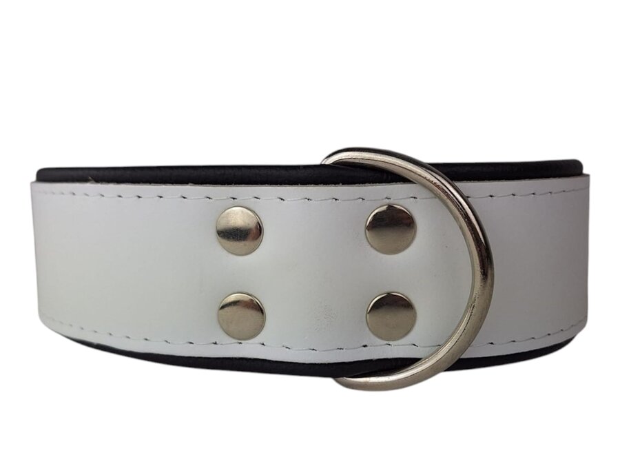 Collier pour chien en cuir blanc / noir