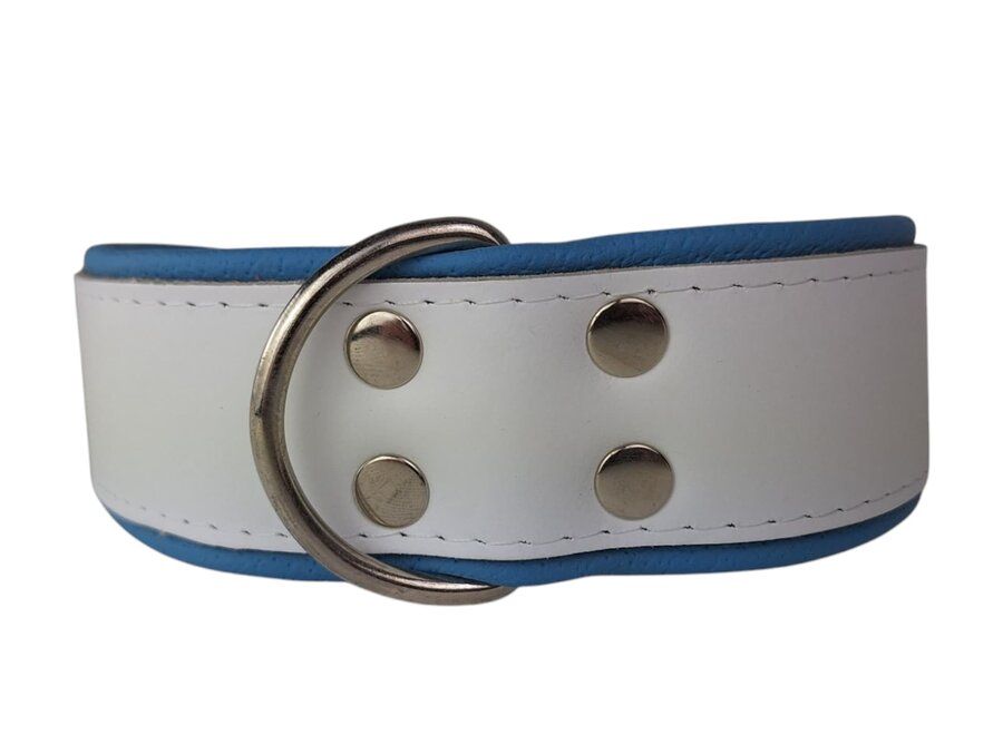 Leather dog collar white / light blue