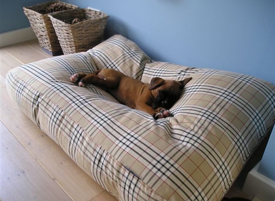 Cover cat bed country field