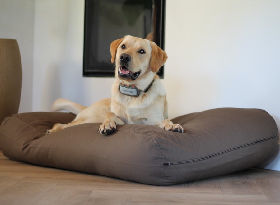 Dog bed taupe/brown large