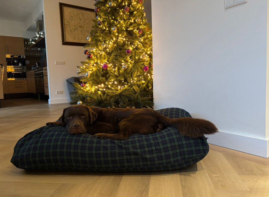 Lit pour chien black watch extra small