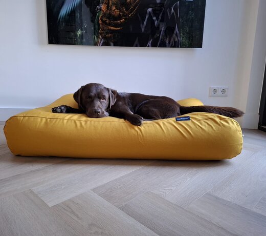 Coussins pour chiens yaune