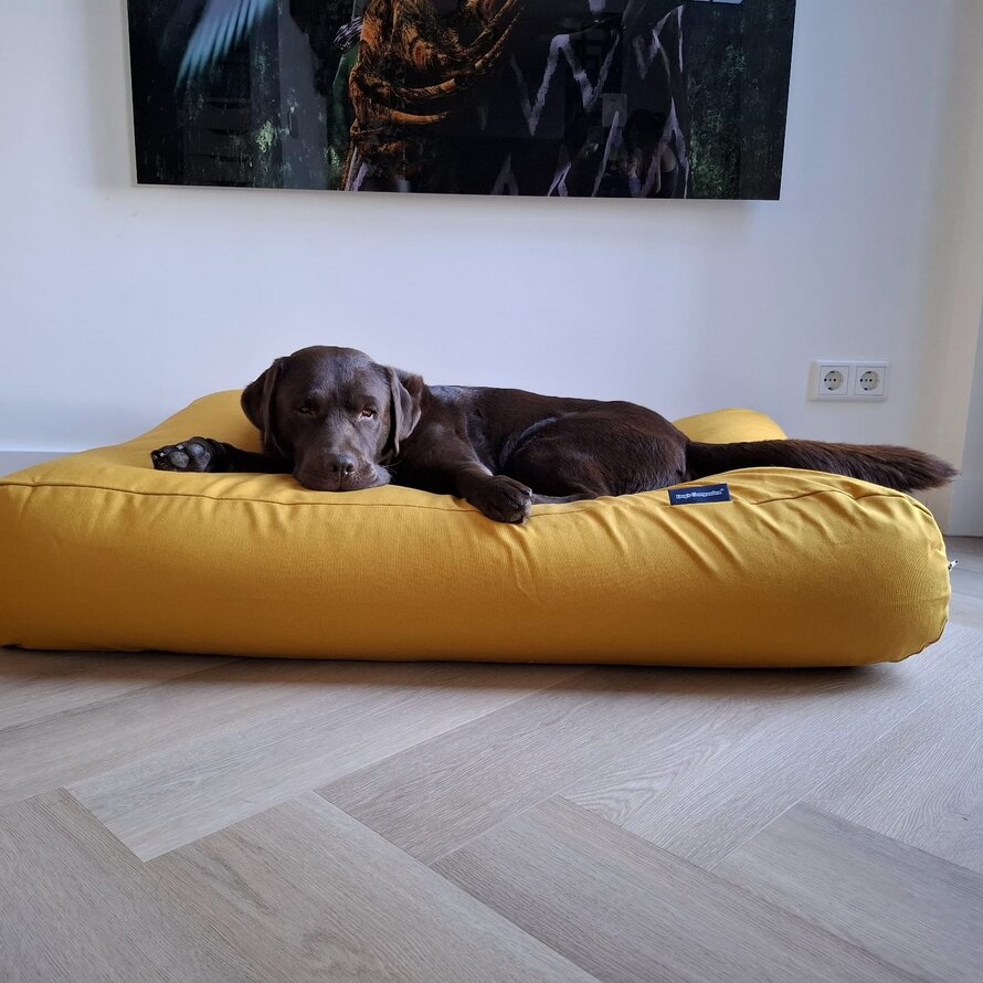 Coussins pour chiens  yaune
