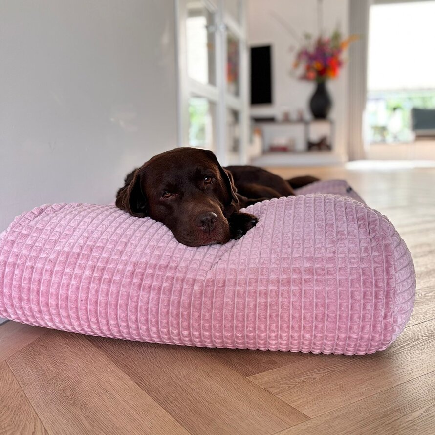 Dog beds pink