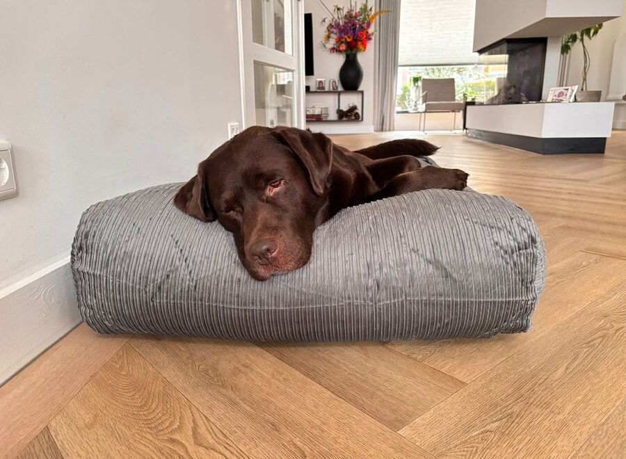 Dog bed mouse grey double corduroy medium
