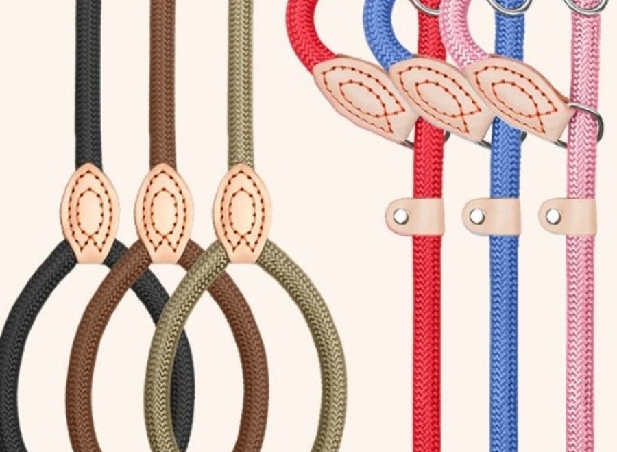 Laisse lasso pour chien en nylon | Laisse ronde tressée avec stoppeur en cuir réglable | 1,5 ou 1,8 m | 14 ou 16 mm | 7 couleurs