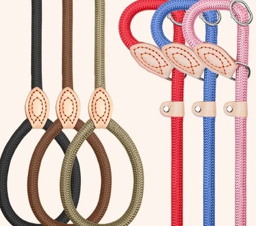 Nylon Retrieverl leash