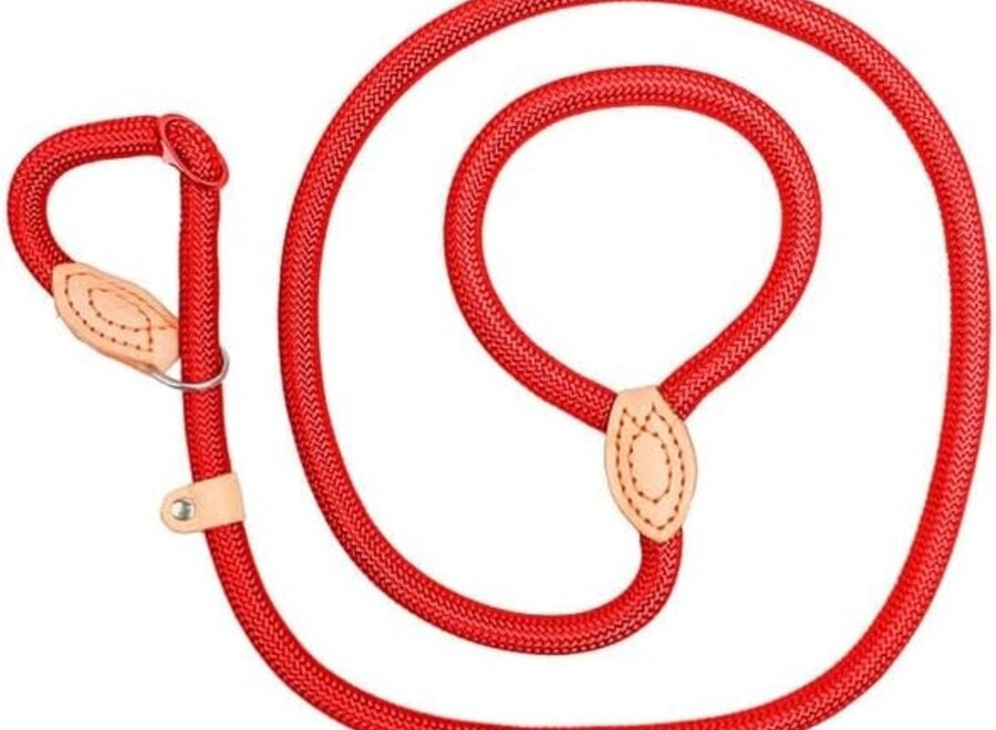 Laisse lasso pour chien en nylon | Laisse ronde tressée avec stoppeur en cuir réglable | 1,5 ou 1,8 m | 14 ou 16 mm | 7 couleurs