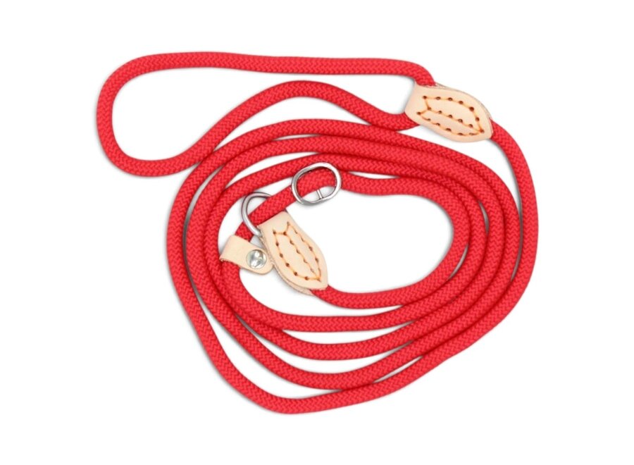 Nylon Retriever Leash for Dogs with Leather Stopper | Round Braided Slip Lead for Walking and Dog Training | 1.5 or 1.8 Metres