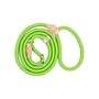 Nylon Retriever Leash for Dogs with Leather Stopper | Round Braided Slip Lead for Walking and Dog Training | 1.5 or 1.8 Metres