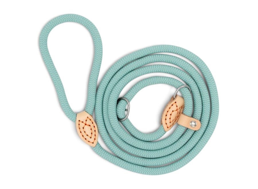 Laisse lasso pour chien en nylon avec stop en cuir | Laisse ronde tressée pour la promenade et le dressage du chien | 1,5 ou 1,8 mètre