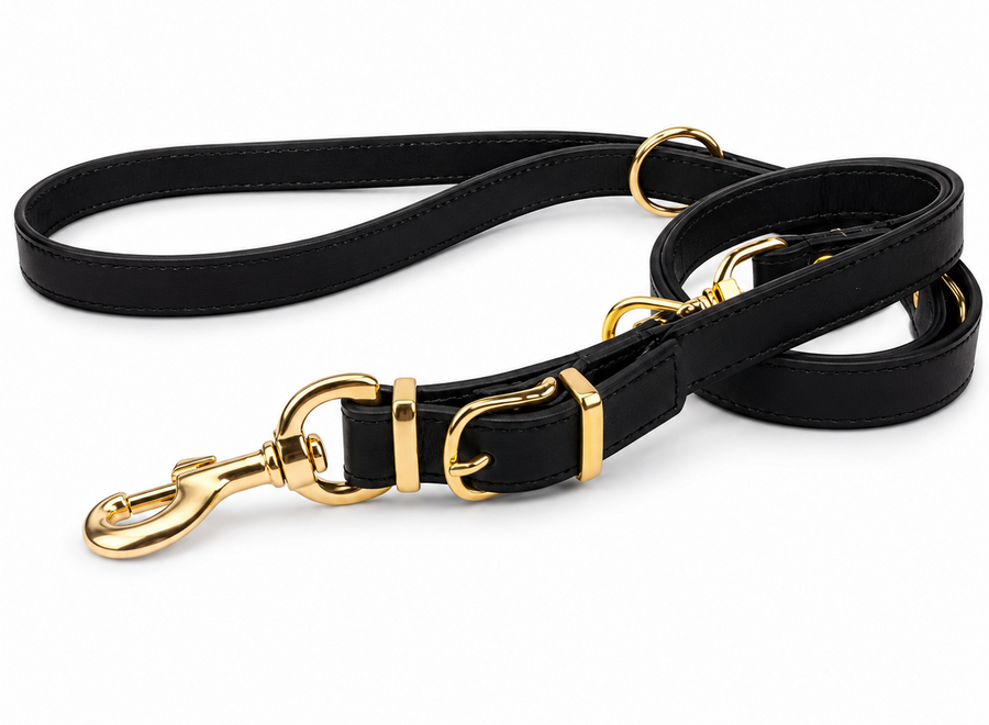 Réglable en cuir laisse de chien en or exclusif