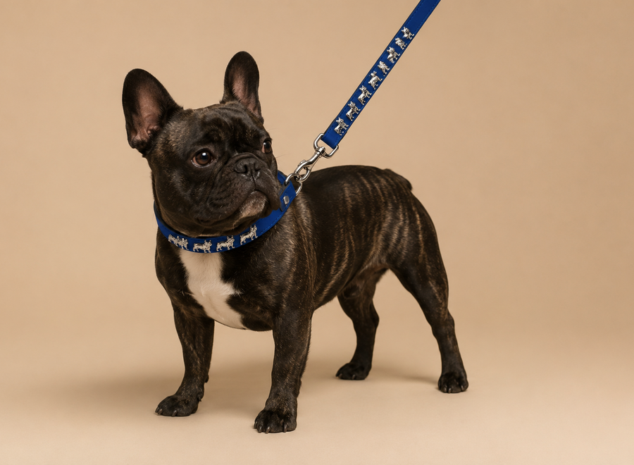 Laisse en cuir pour Bouledogue Français