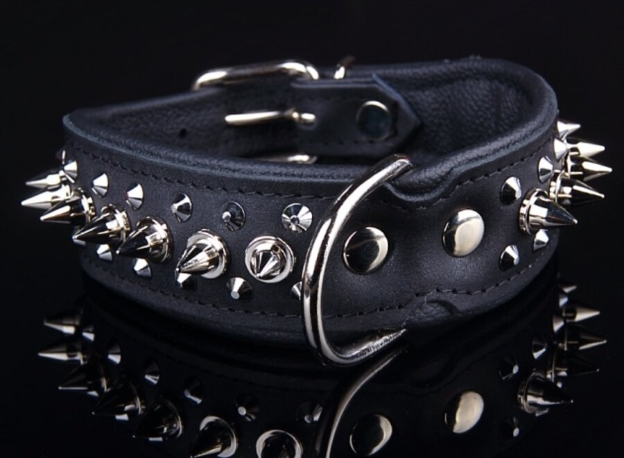 Leren halsband - met spikes - 45-53 cm x 40 mm - zwart