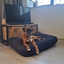 Coussin pour chien noir en velours côtelé fin, avec housse lavable et garnissage en billes de PSE rechargeable