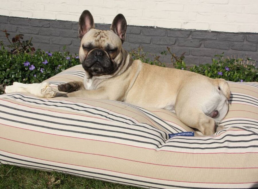 Dog bed country field stripe