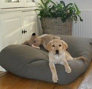 Europe S Dog Bed Specialist Dog Beds By Dog S Companion