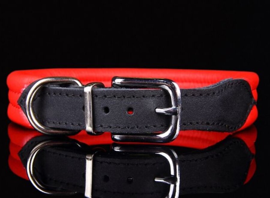 Leather collar (soft)