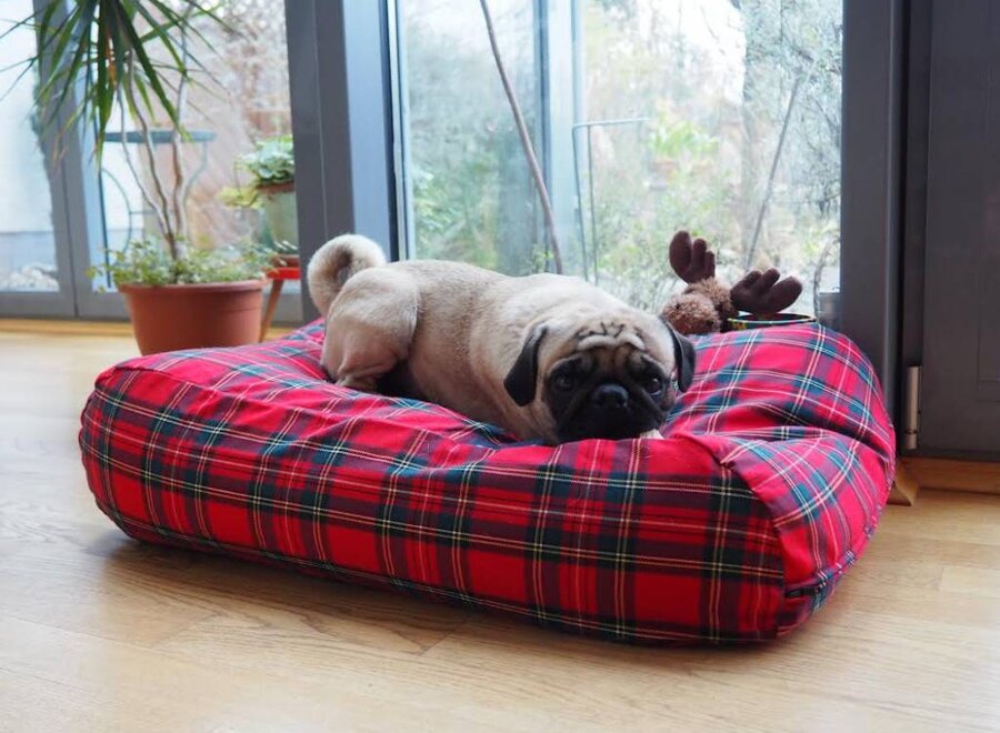 Dog bed royal stewart large