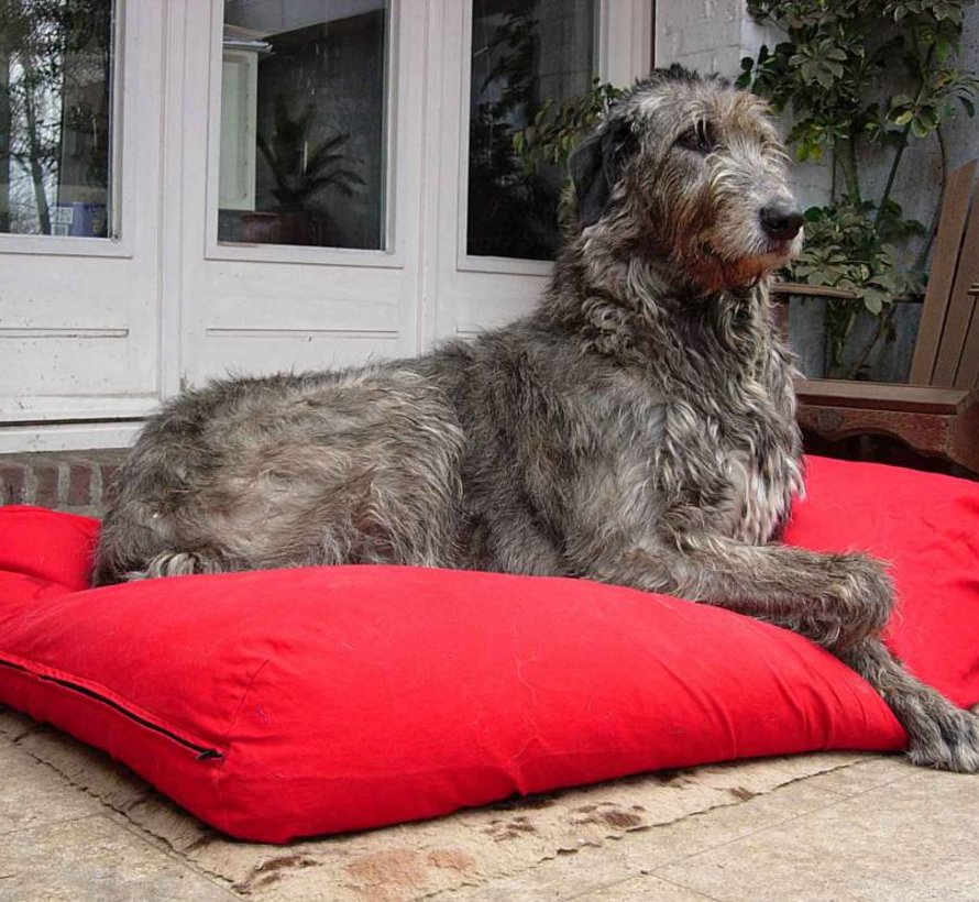 Dog bed red extra small