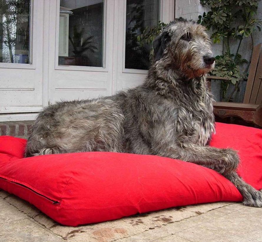 Dog bed Red Large
