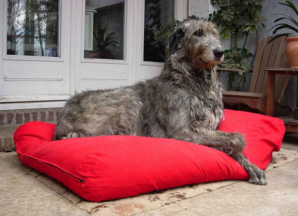 Canadiana Plaid Large lit pour chien