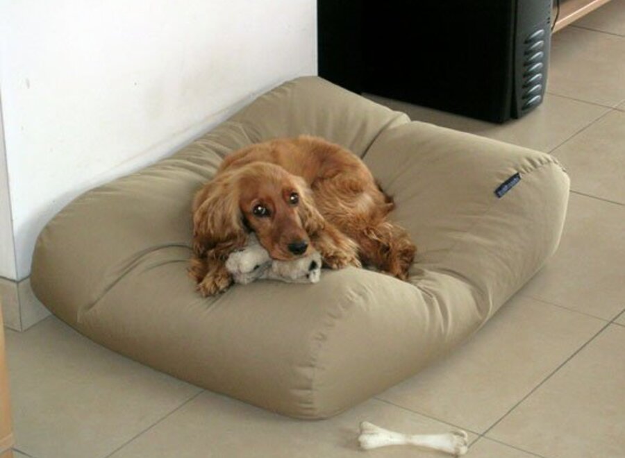 Dog bed beige large