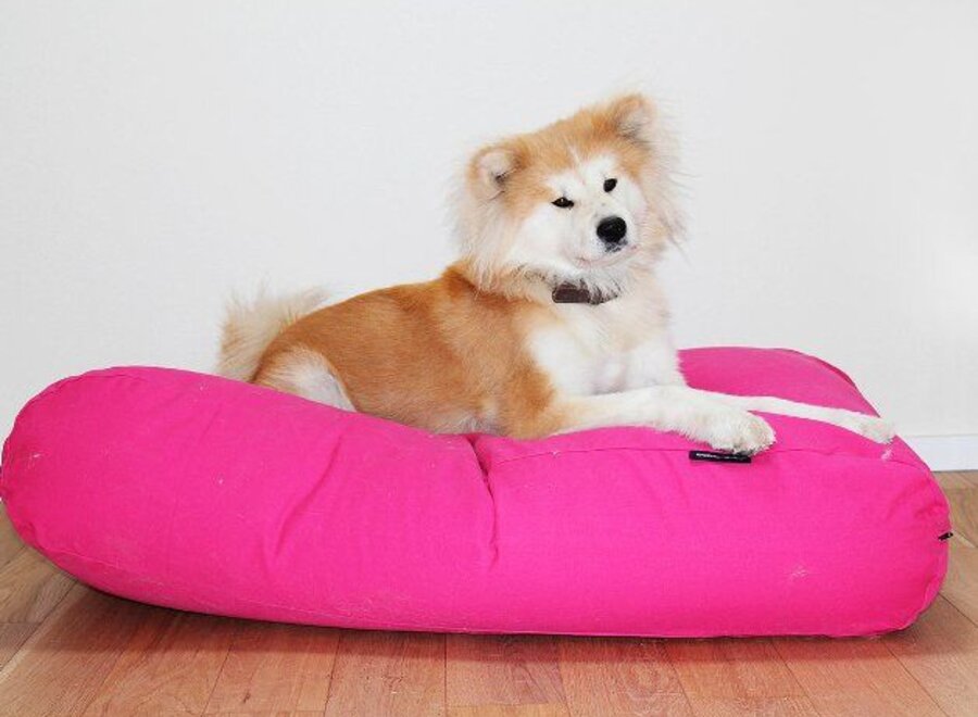 Lit pour chien rose superlarge