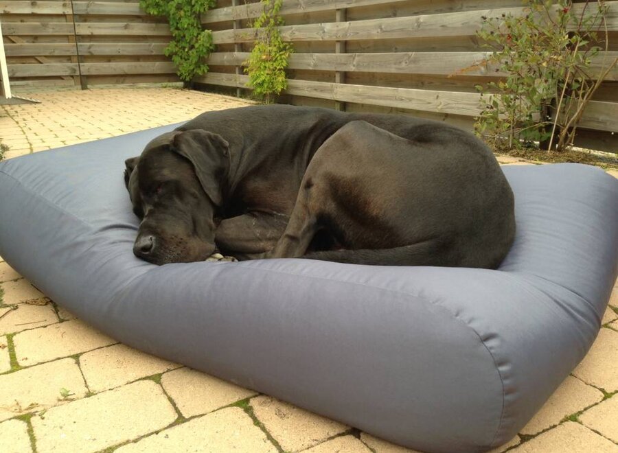 Dog bed Steel Grey (coating) Extra Small