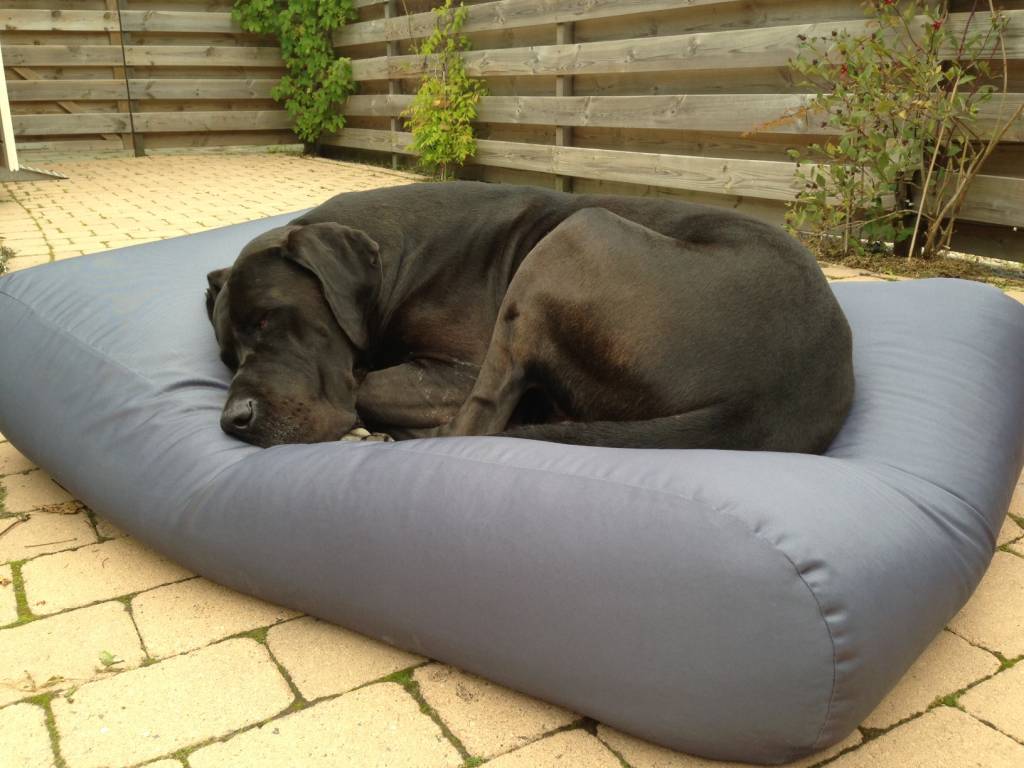 large grey dog bed