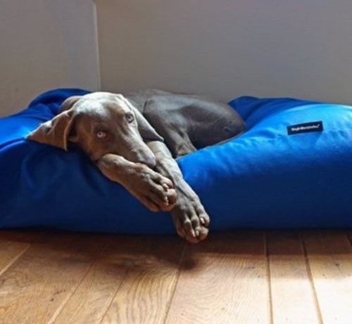 Dog's Companion Dog bed Cobalt Blue (coating) Extra Small