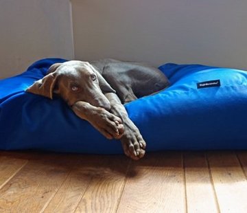 Dog's Companion Dog bed Cobalt Blue (coating) Large