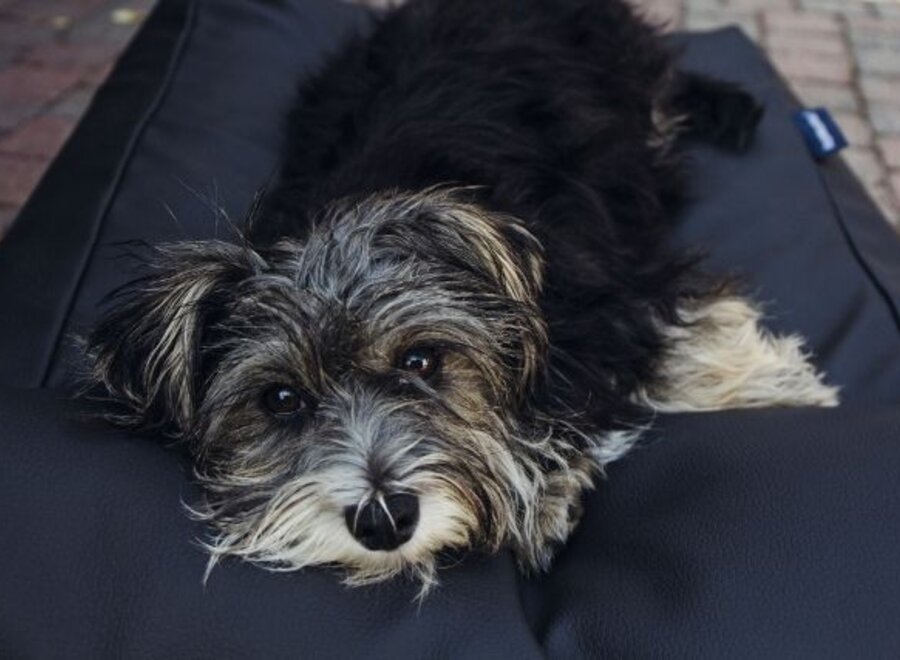 Dog bed black leather look medium