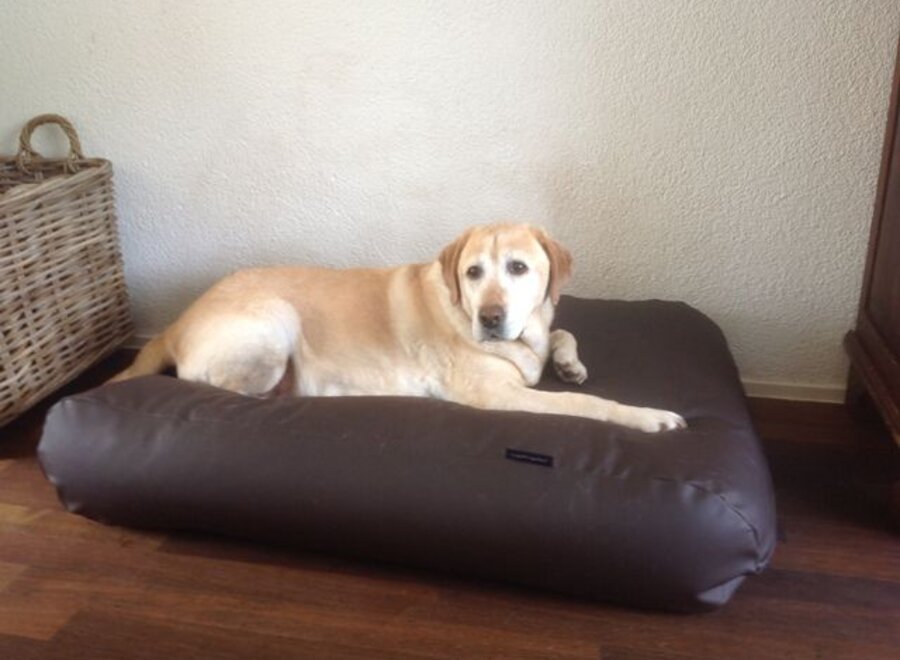 Dog bed chocolate brown leather look medium