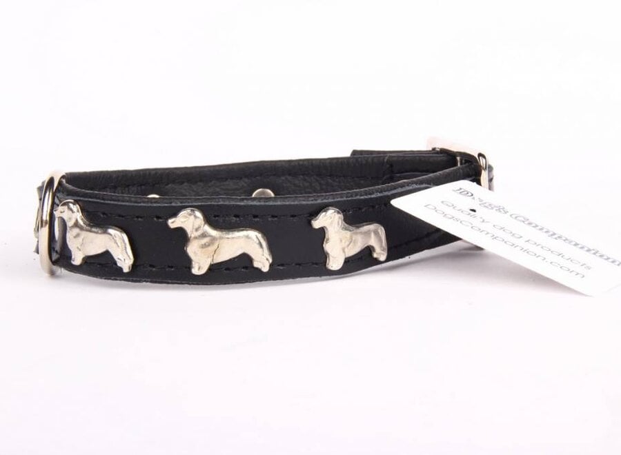 Leather collar (Dachshund)