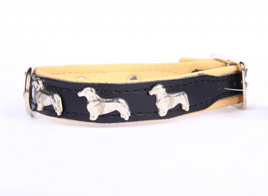 Leather collar (Dachshund)